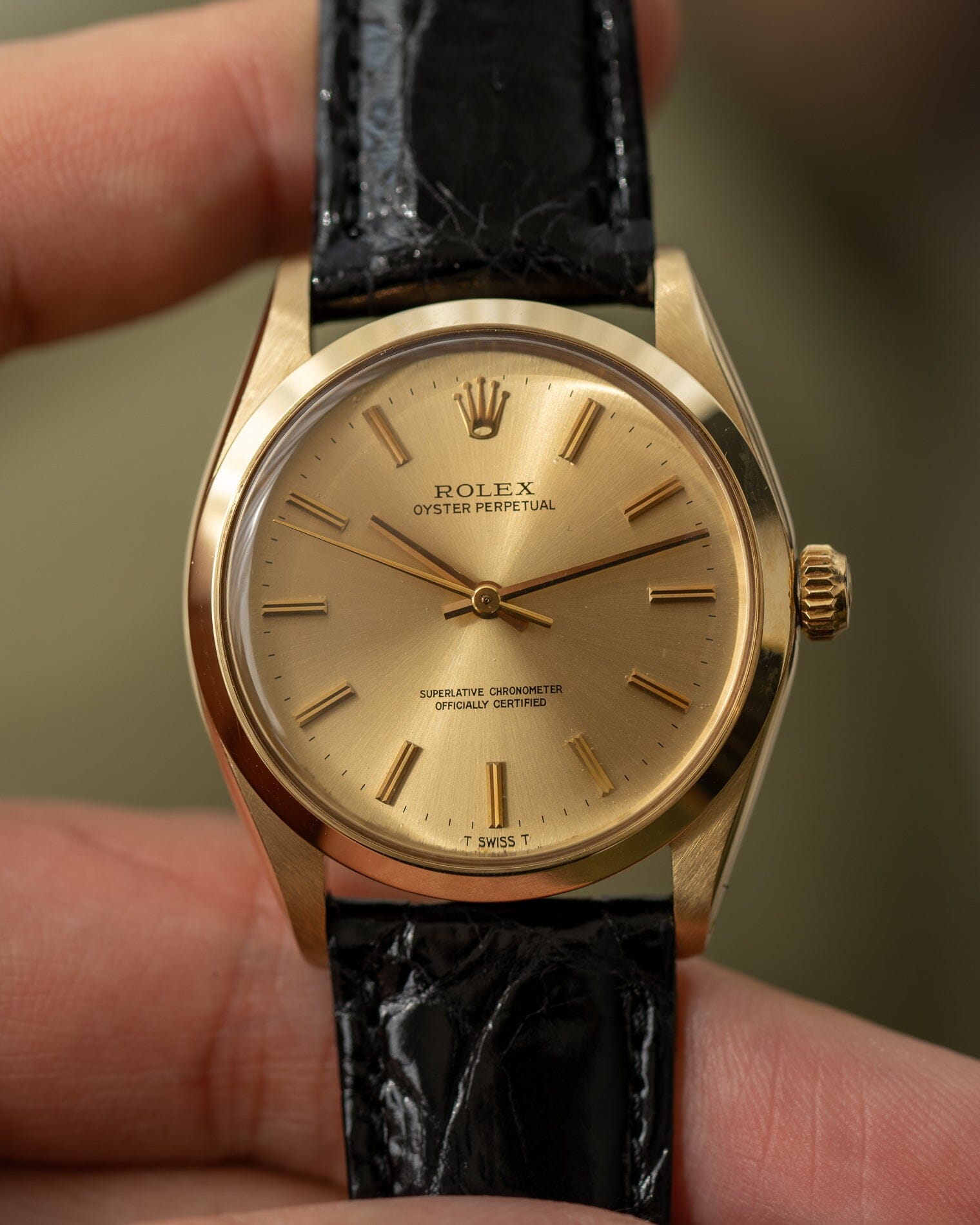 Rolex Oyster Perpetual 1002 YG Champagne Dial ARBITRO